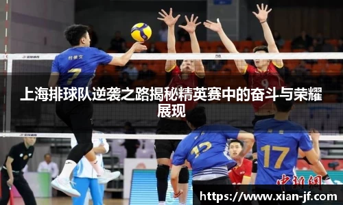 上海排球队逆袭之路揭秘精英赛中的奋斗与荣耀展现